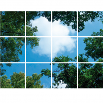 FOTOPRINT afbeelding wolk-bos verdeeld over 12 panelen 595 x 595 mm