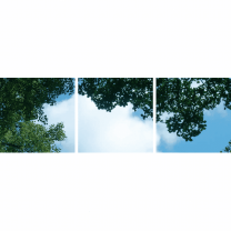 FOTOPRINT afbeelding wolk-bos verdeeld over 3 panelen 595 x 595 mm