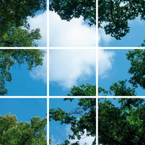 FOTOPRINT afbeelding wolk bos verdeeld over 9 panelen 595 x 595 mm
