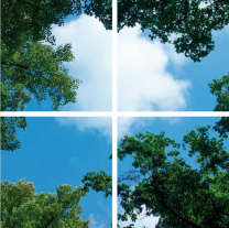 FOTOPRINT afbeelding wolk-bos verdeeld over 4 panelen 595 x 595 mm