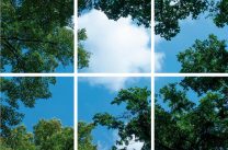 FOTOPRINT afbeelding wolk-bos verdeeld over 6 panelen 595 x 595 mm